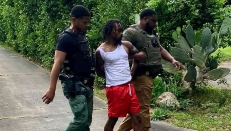 High-Speed Chase in Bibb County Ends with PIT Maneuver and Arrest - The ...