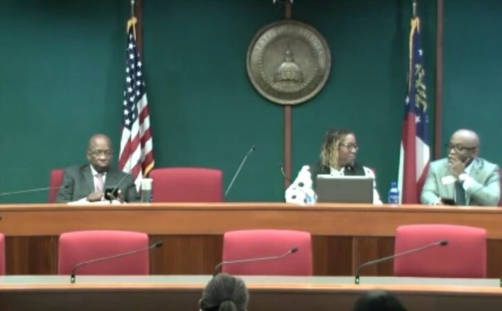 Democratic Education Committees Address AP African American Studies Course Controversy in Hearing