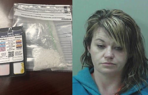 Woman Captured in North Carolina for Meth Possession Linked to Towns County Investigation