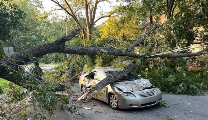 Tree Falls on Car in Stone Mountain, Injuring Two and Causing Power Outage