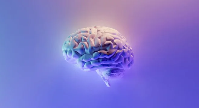 .9 Million Grant to Accelerate Research on Hemorrhagic Stroke Treatment Emory and Grady