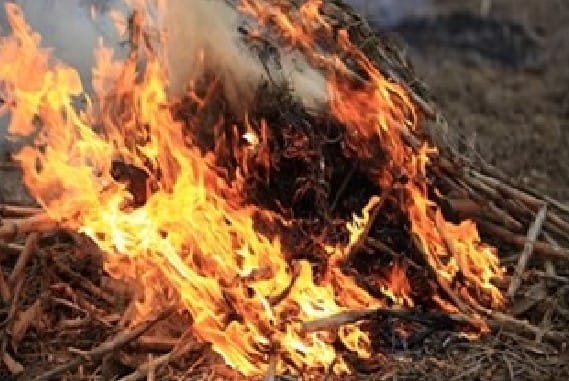 Outdoor Burn Ban Lifted in Bibb County: New Criteria for Safe Burning in Effect