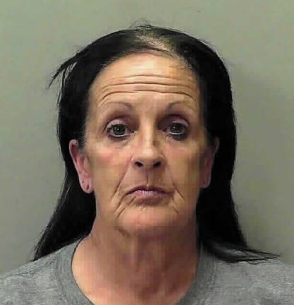 60-Year-Old Woman Arrested in Towns County Drug Bust, Meth and Cash Seized