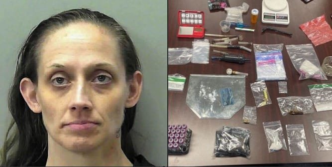 Week-Long Investigation Leads to Major Drug Bust in Towns County