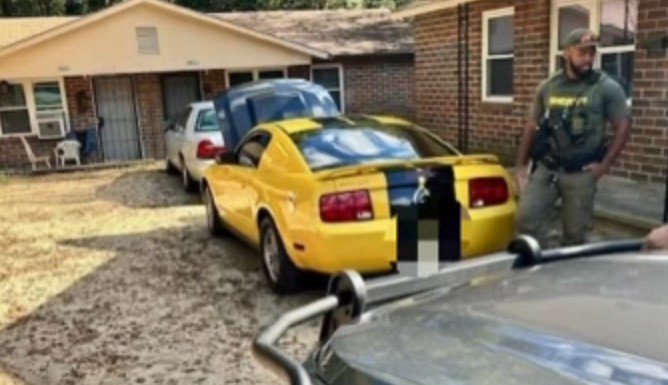 Driver Arrested After Attempt to Evade in Stolen Ford Mustang in Macon