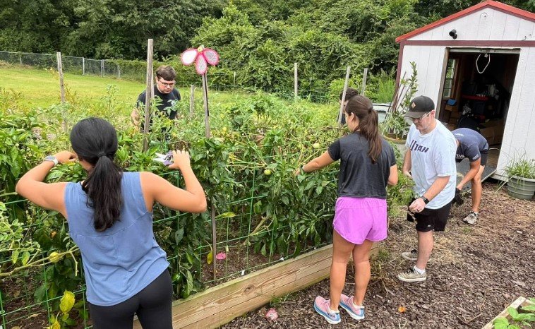 Brookdale Resource Center Harvests Over 8 Tons of Fresh Produce for Residents