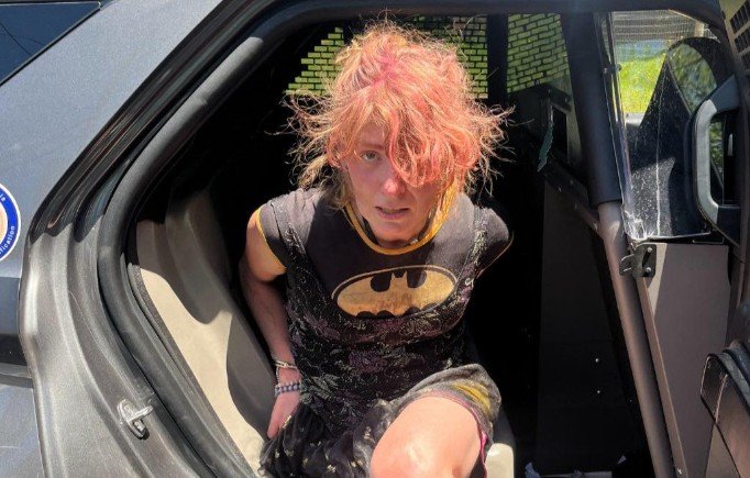 Wanted Woman Dragged from Car During Bibb County Traffic Stop