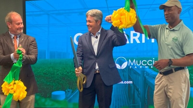 BrightFarms Opens High-Tech Greenhouse in Macon, Promises Fresh Produce for Southeast