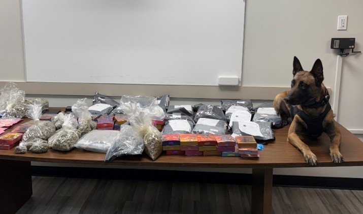 Savannah Man Arrested After K9 Locates Nearly 27 Pounds of Drugs Near Home