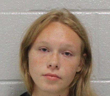 Carroll County Teen Charged in February Double Homicide of Mother and Stepfather