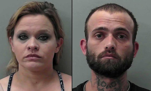 Month-Long Investigation Leads to Meth, Gun Seizures in Towns County