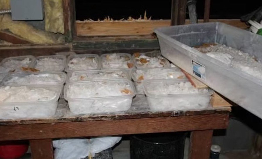 12 Defendants in Mexico-to-Georgia Meth Ring Face Federal Sentencing