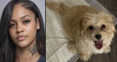 Brookhaven Police Arrest Local Rapper After Video Shows Puppy Cruel Abuse on Livestream