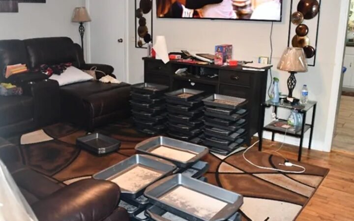 Two Plead Guilty in China-Linked Fentanyl Trafficking Ring Run from Georgia Prison