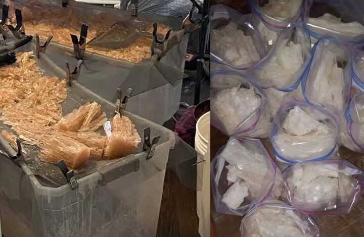 Convicted Murderer Sentenced to 35 Years for Running Drug Empire From Georgia Prison