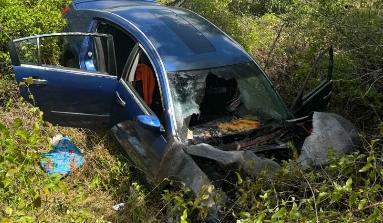 Macon Woman Killed in Single-Vehicle Crash on Harrison Road