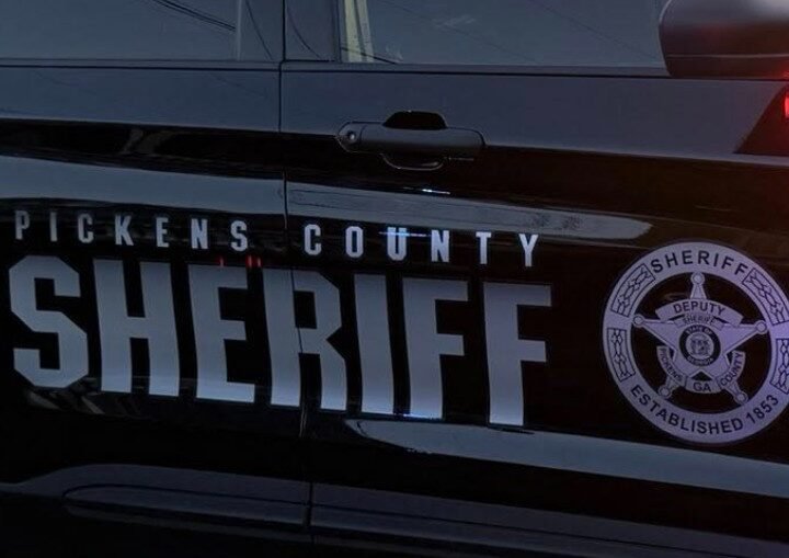 Deputies Euthanize Injured Bear After Vehicle Strike in Pickens County