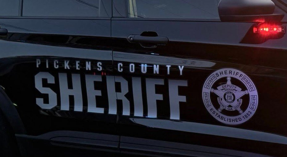Deputies Euthanize Injured Bear After Vehicle Strike in Pickens County