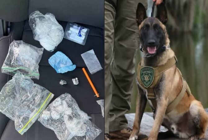 Multi-Agency Drug Bust Seizes Meth and Fentanyl Bound for Georgia and North Carolina Communities