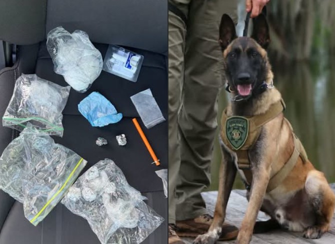 Multi-Agency Drug Bust Seizes Meth and Fentanyl Bound for Georgia and North Carolina Communities
