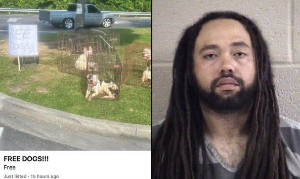 Dalton Man Arrested After Community Tips Lead to Animal Cruelty Investigation Outside Walmart