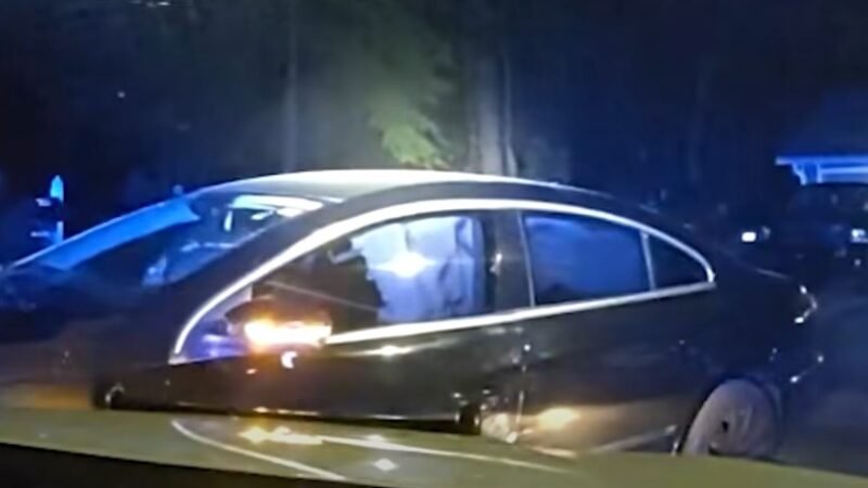 Gwinnet County Officer Disarms Own Taser During Wooded Fight with Fleeing Drive