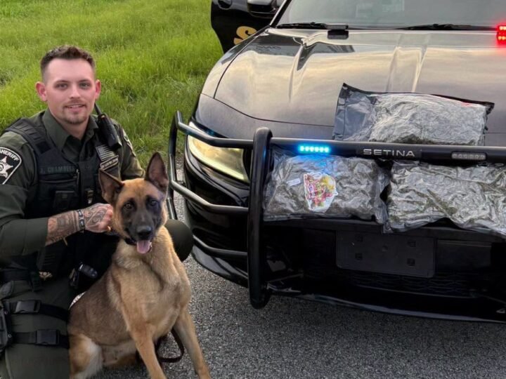 Toccoa Woman Arrested After Deputies Seize 3.5 Pounds of Suspected Marijuana During Traffic Stop