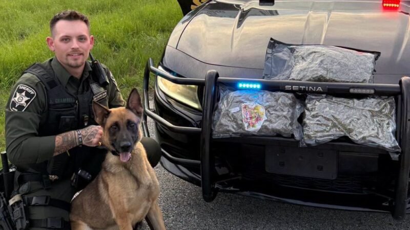 Toccoa Woman Arrested After Deputies Seize 3.5 Pounds of Suspected Marijuana During Traffic Stop