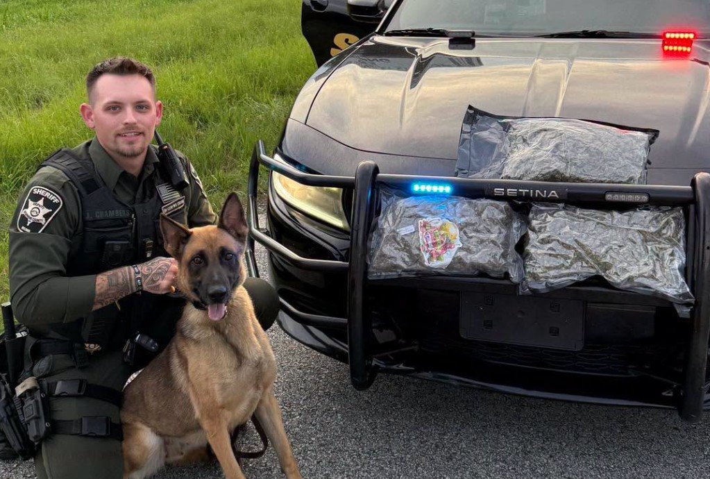 Toccoa Woman Arrested After Deputies Seize 3.5 Pounds of Suspected Marijuana During Traffic Stop