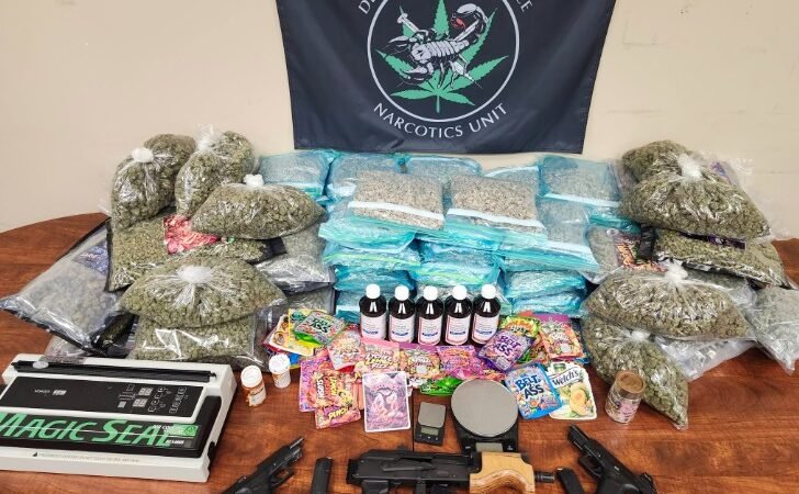DeKalb Police Seize Drugs, Firearms and Cash After Disturbance Call