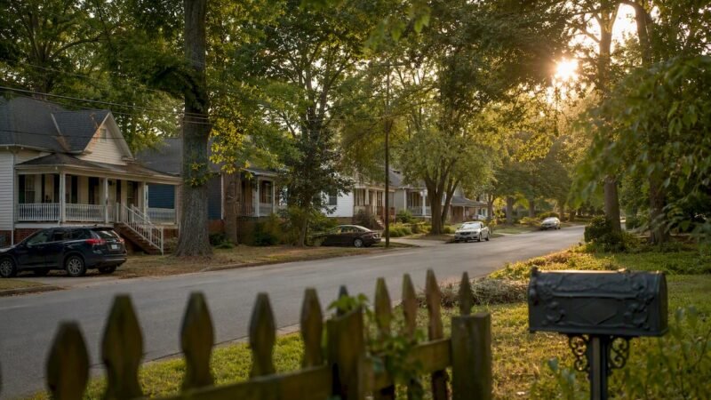 Scorpions in Georgia: What Central Georgia Residents Need to Know
