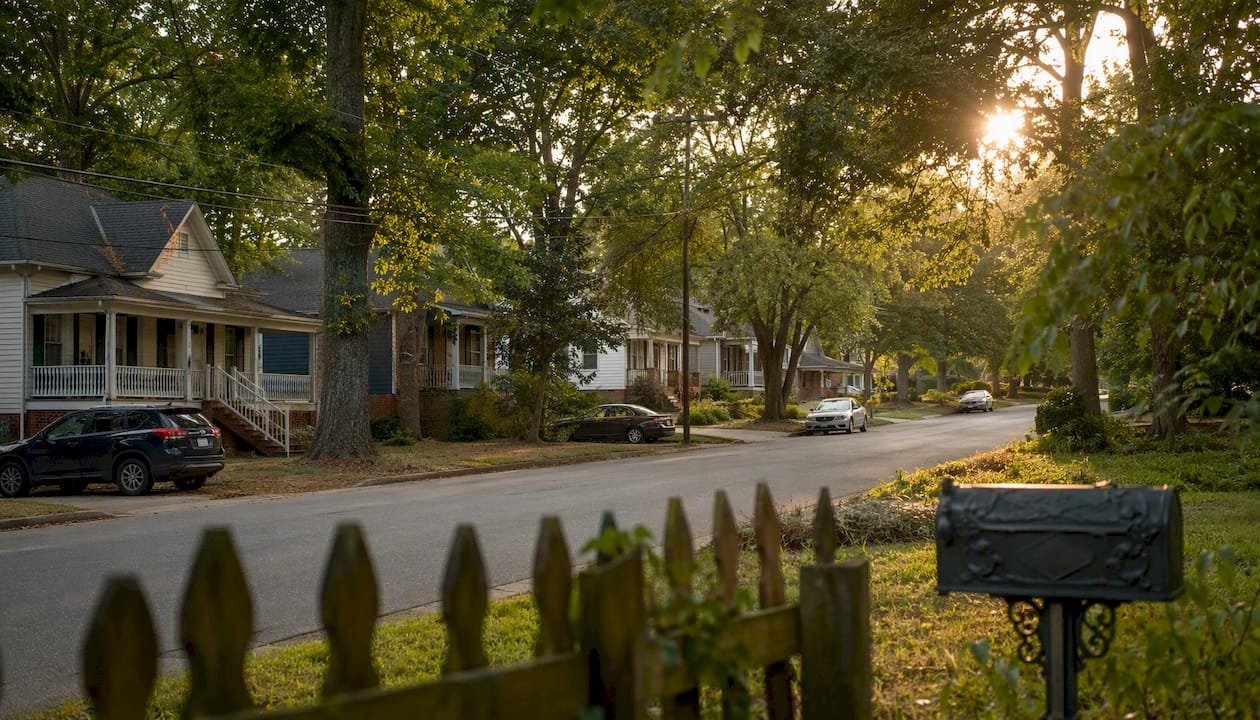 Scorpions in Georgia: What Central Georgia Residents Need to Know