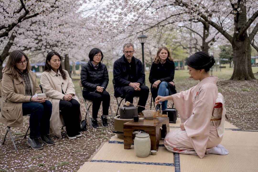 Japanese tea ceremony at cherry blossom festival
