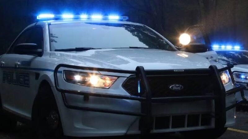 Two Juveniles Arrested After Stolen Vehicle Pursuit Ends in Crash in LaGrange