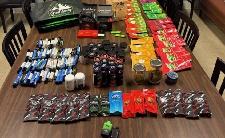 Camden County Traffic Stop on I-95 Leads to Large Marijuana and THC Seizure