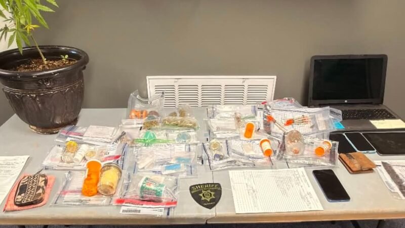 Georgia Drug Task Force Operation Leads to Arrests on Meth, Elder Exploitation Charges