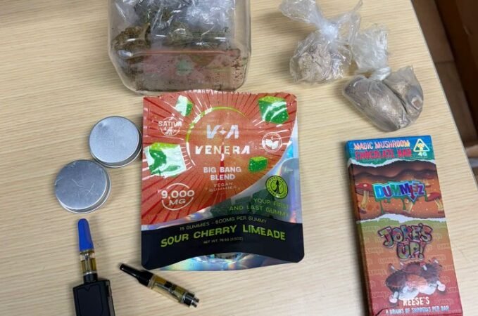 I-16 Left-Lane Traffic Stop Leads to Cocaine, Mushrooms and THC Seizure in Twiggs County I-16 Left-Lane Traffic Stop Leads to Cocaine, Mushrooms and THC Seizure in Twiggs County