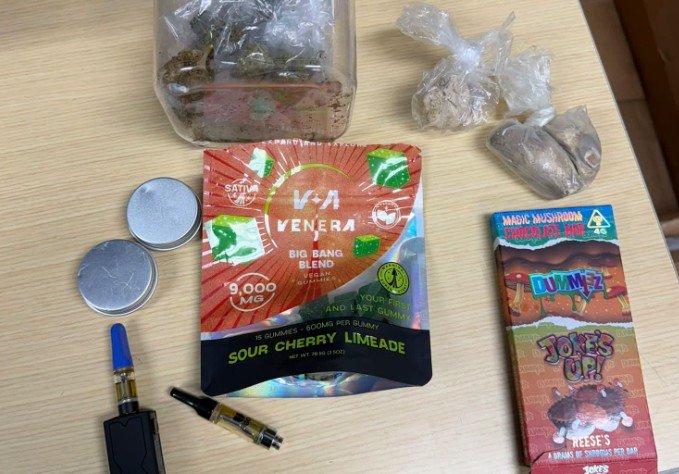 I-16 Left-Lane Traffic Stop Leads to Cocaine, Mushrooms and THC Seizure in Twiggs County I-16 Left-Lane Traffic Stop Leads to Cocaine, Mushrooms and THC Seizure in Twiggs County