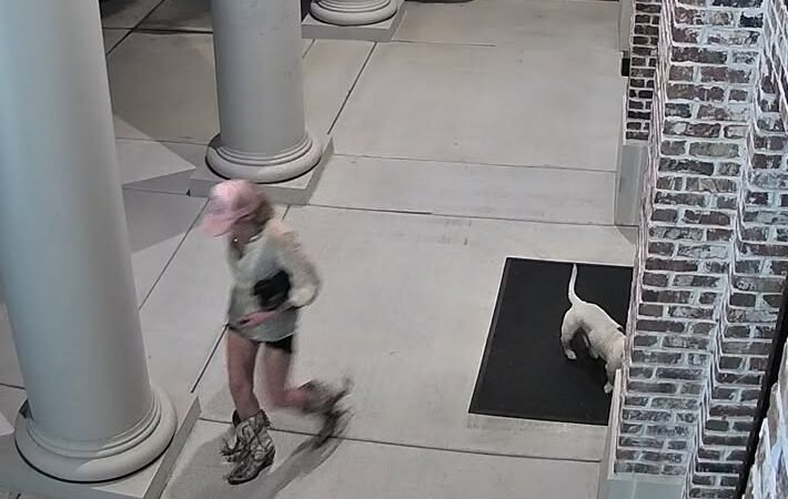 Woman Arrested After Dog Abandoned Outside Hawkinsville City Hall
