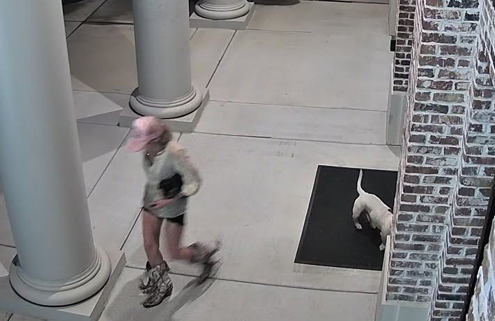 Woman Arrested After Dog Abandoned Outside Hawkinsville City Hall Woman Arrested After Dog Abandoned Outside Hawkinsville City Hall