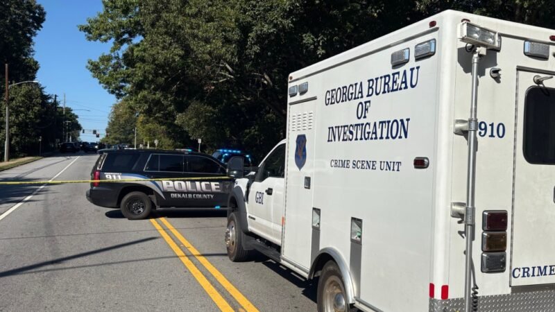 Lithonia Man Fatally Shot by DeKalb County Police During Domestic Disturbance in Stone Mountain Lithonia Man Fatally Shot by DeKalb County Police During Domestic Disturbance in Stone Mountain