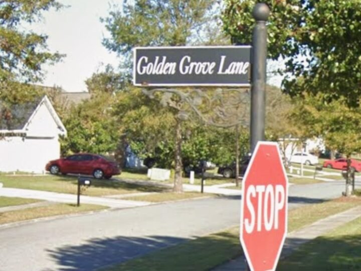 Two Richmond Hill Men Dead After Shooting at Home, Police Chase Ends With Apparent Suicide
